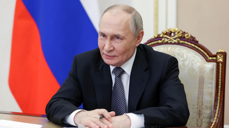 Путин поручил расширить использование низкосортной древесины и пеллет