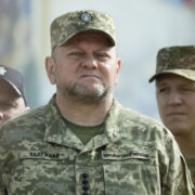 Рогов дал оценку словам Залужного о возврате к границам 1991 года