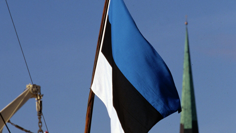 Эстония ввела санкции против 19 грузинских чиновников