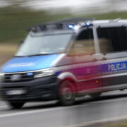 Польша введет временный погранконтроль с Германией и Литвой