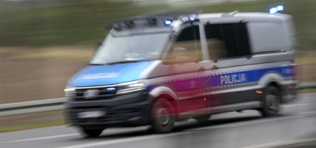 Польша введет временный погранконтроль с Германией и Литвой