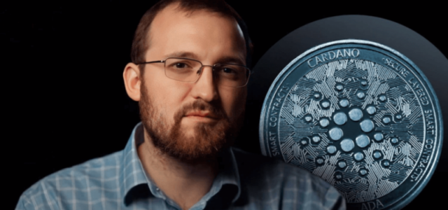 Чарльз Хоскинсон из Cardano сообщил о нереализованных убытках в $3 млрд из-за спада на крипторынке