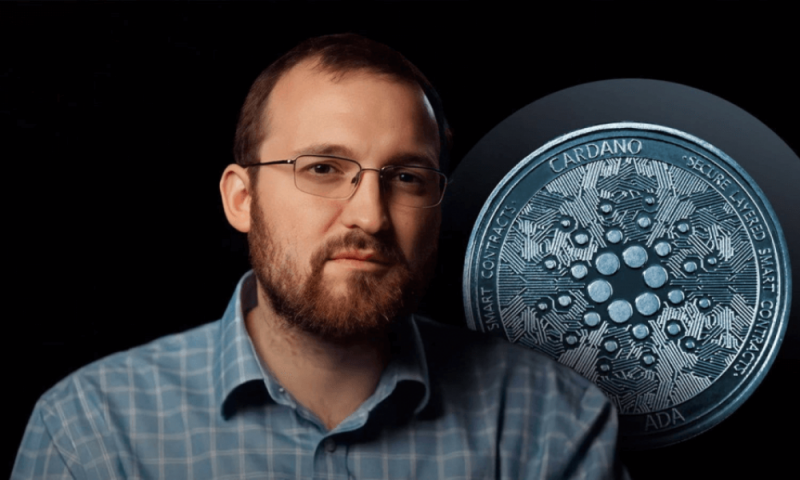 Чарльз Хоскинсон из Cardano сообщил о нереализованных убытках в млрд из-за спада на крипторынке
