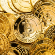 Правительство США не готово к масштабной скупке биткоинов