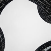 Происходит массовый исход ключевых людей из xAI Илона Маска
