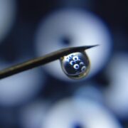 Dotdotdot новый сервис для удобного отложенного чтения