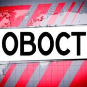 Непристойные слова и их влияние на общество