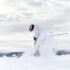 Скидки на покупки 18 апреля 2019 года