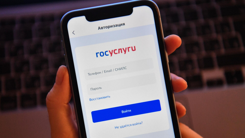 АКИТ: авторизация в "Госуслугах" усложнит продажу зарубежных товаров онлайн