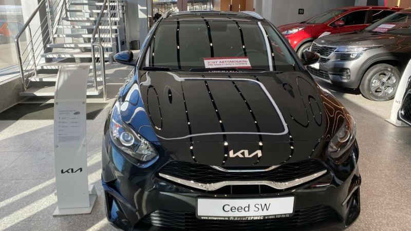 Kia зарегистрировала новые товарные знаки для продажи машин в России