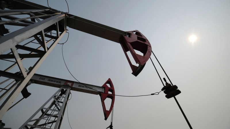 В Индии назвали Россию главным поставщиком нефти в страну